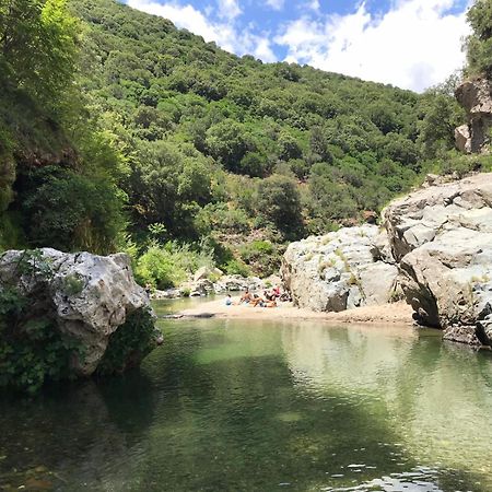 New! La Ginestra,Casa Vacanze Bifamiliare In Montagna-Seulo Sardegna מראה חיצוני תמונה