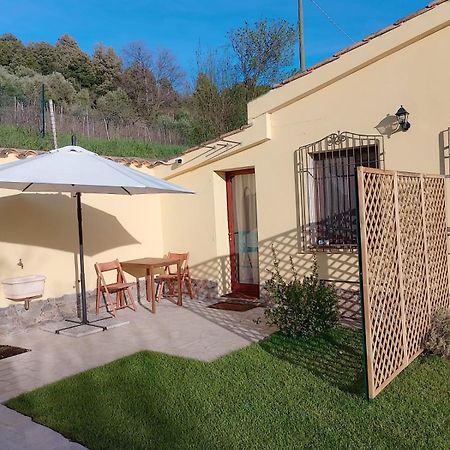 New! La Ginestra,Casa Vacanze Bifamiliare In Montagna-Seulo Sardegna מראה חיצוני תמונה