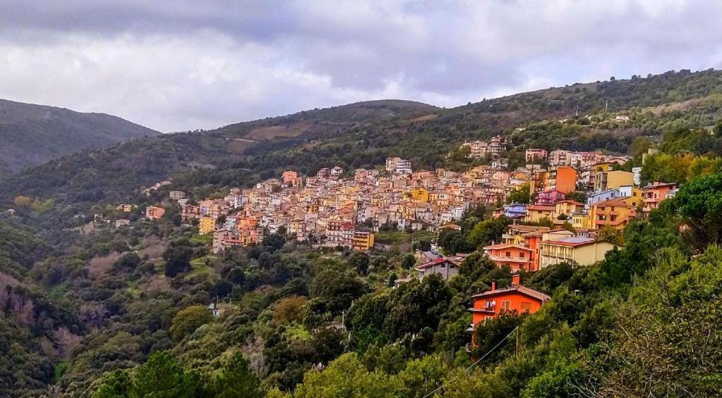 New! La Ginestra,Casa Vacanze Bifamiliare In Montagna-Seulo Sardegna מראה חיצוני תמונה