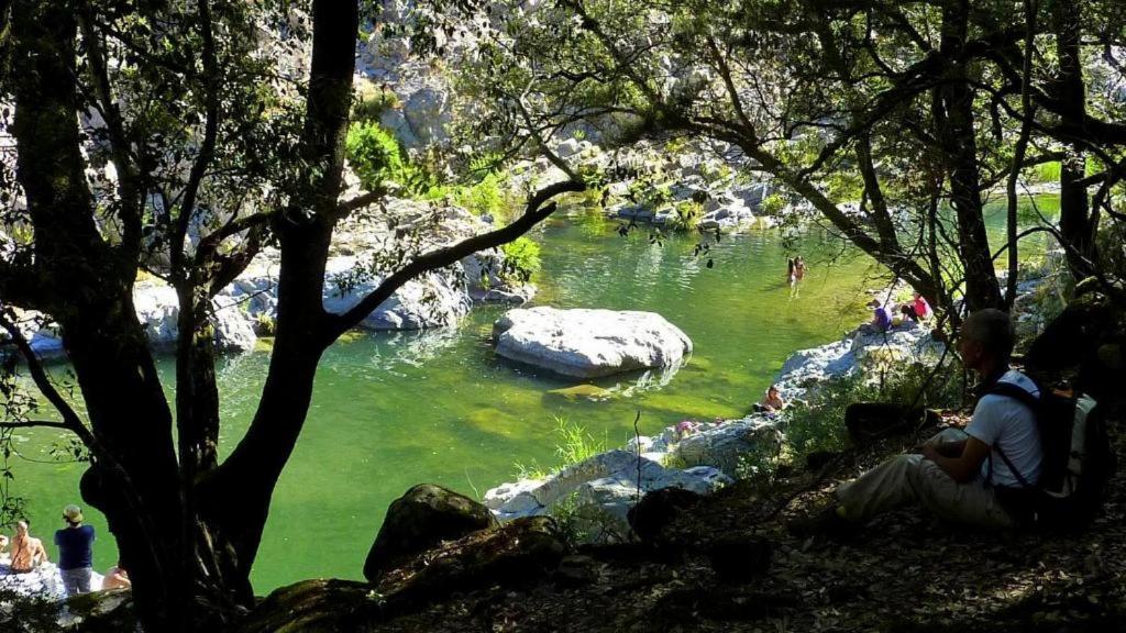 New! La Ginestra,Casa Vacanze Bifamiliare In Montagna-Seulo Sardegna מראה חיצוני תמונה