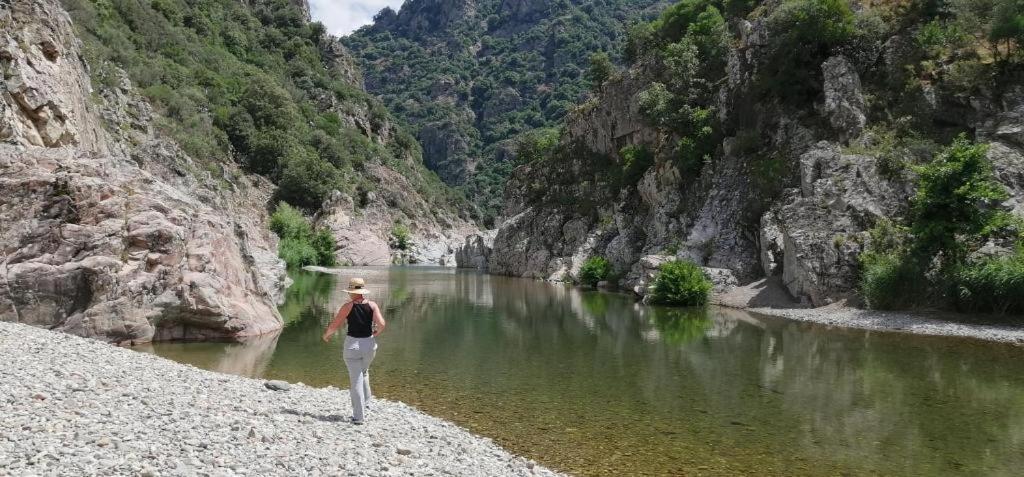 New! La Ginestra,Casa Vacanze Bifamiliare In Montagna-Seulo Sardegna מראה חיצוני תמונה