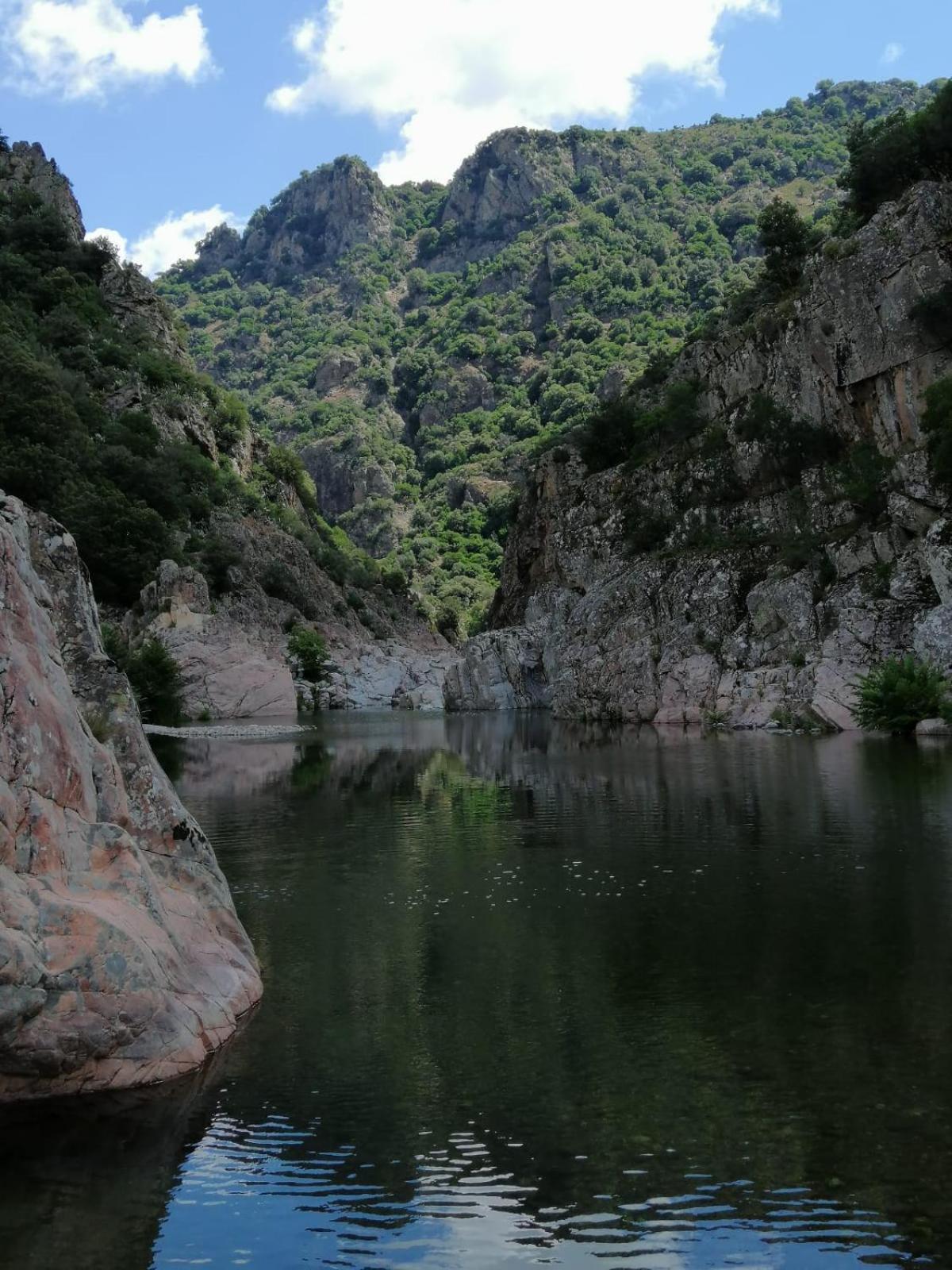 New! La Ginestra,Casa Vacanze Bifamiliare In Montagna-Seulo Sardegna מראה חיצוני תמונה
